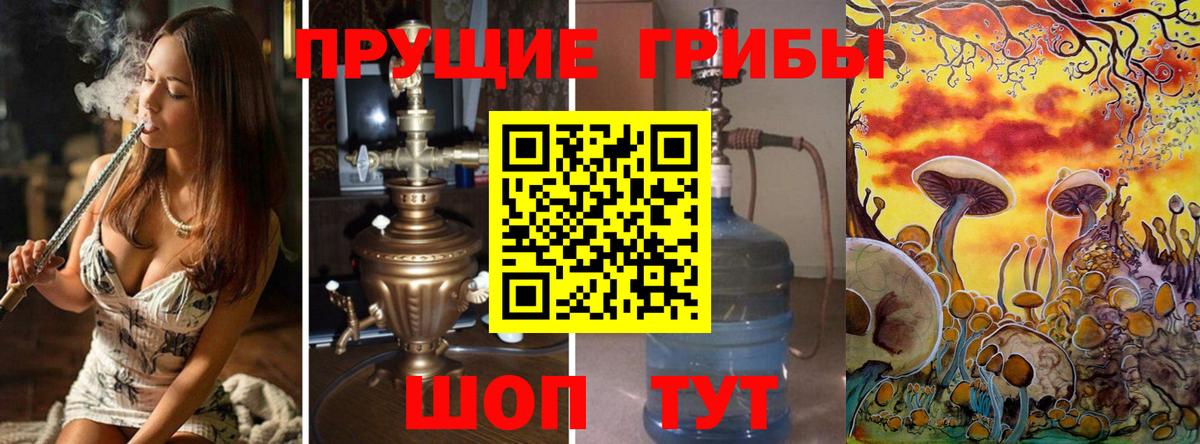 Галлюциногенные грибы Psilocybe  цена наркотик  Псилоцибиновые грибы мицелий  Обнинск  Вход с VPN 