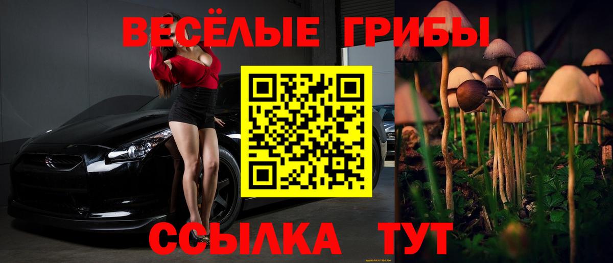 Галлюциногенные грибы Magic Shrooms Обнинск